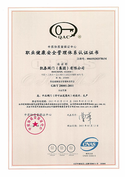 職業健康安全管理體系認證